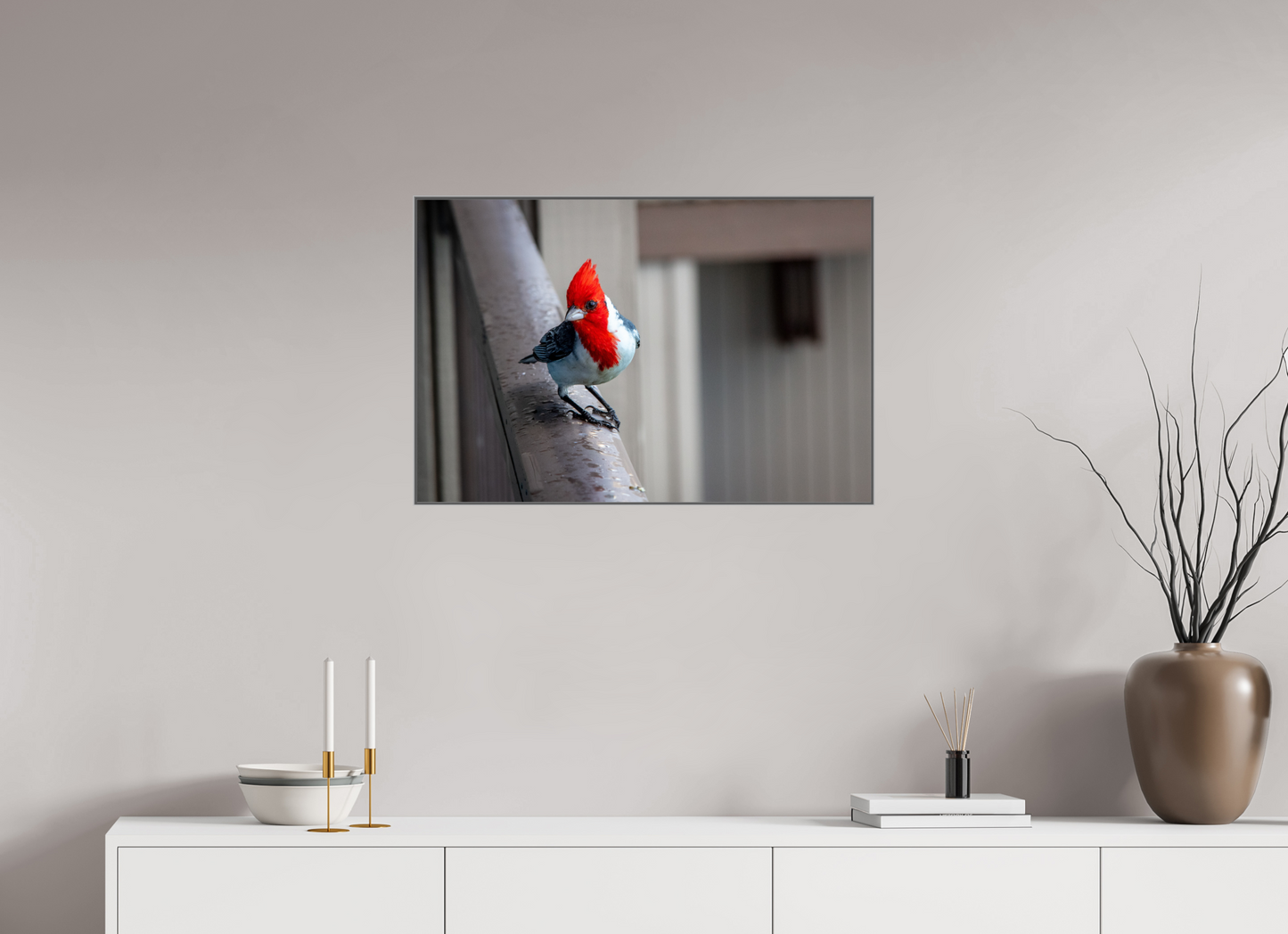 Red Crested Cardinal