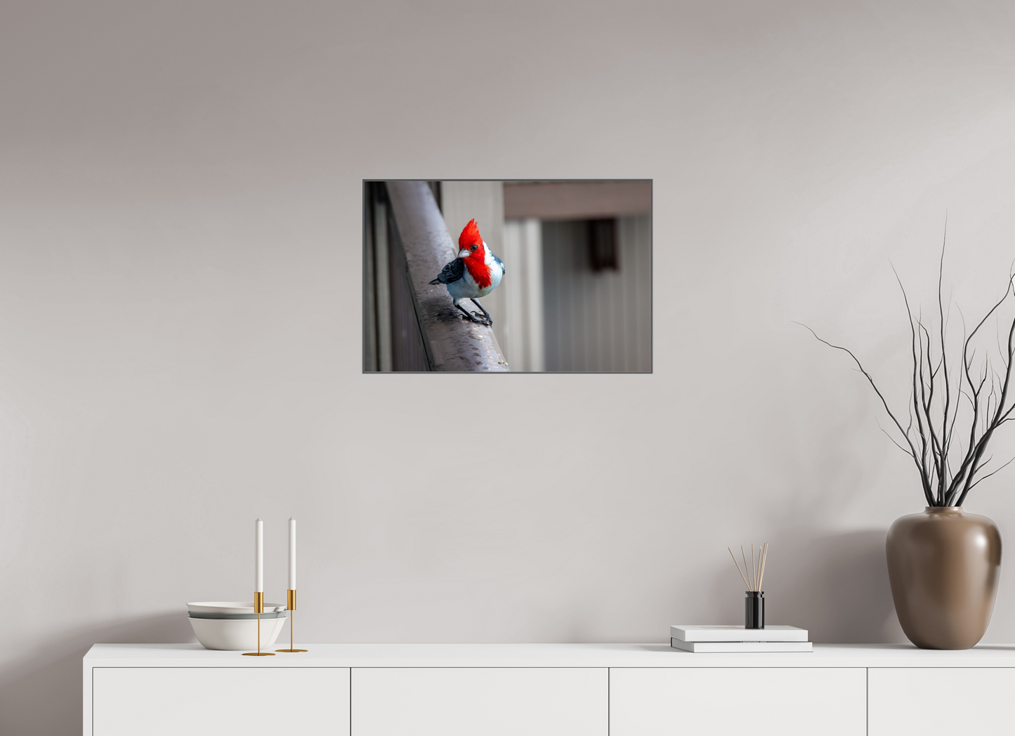 Red Crested Cardinal