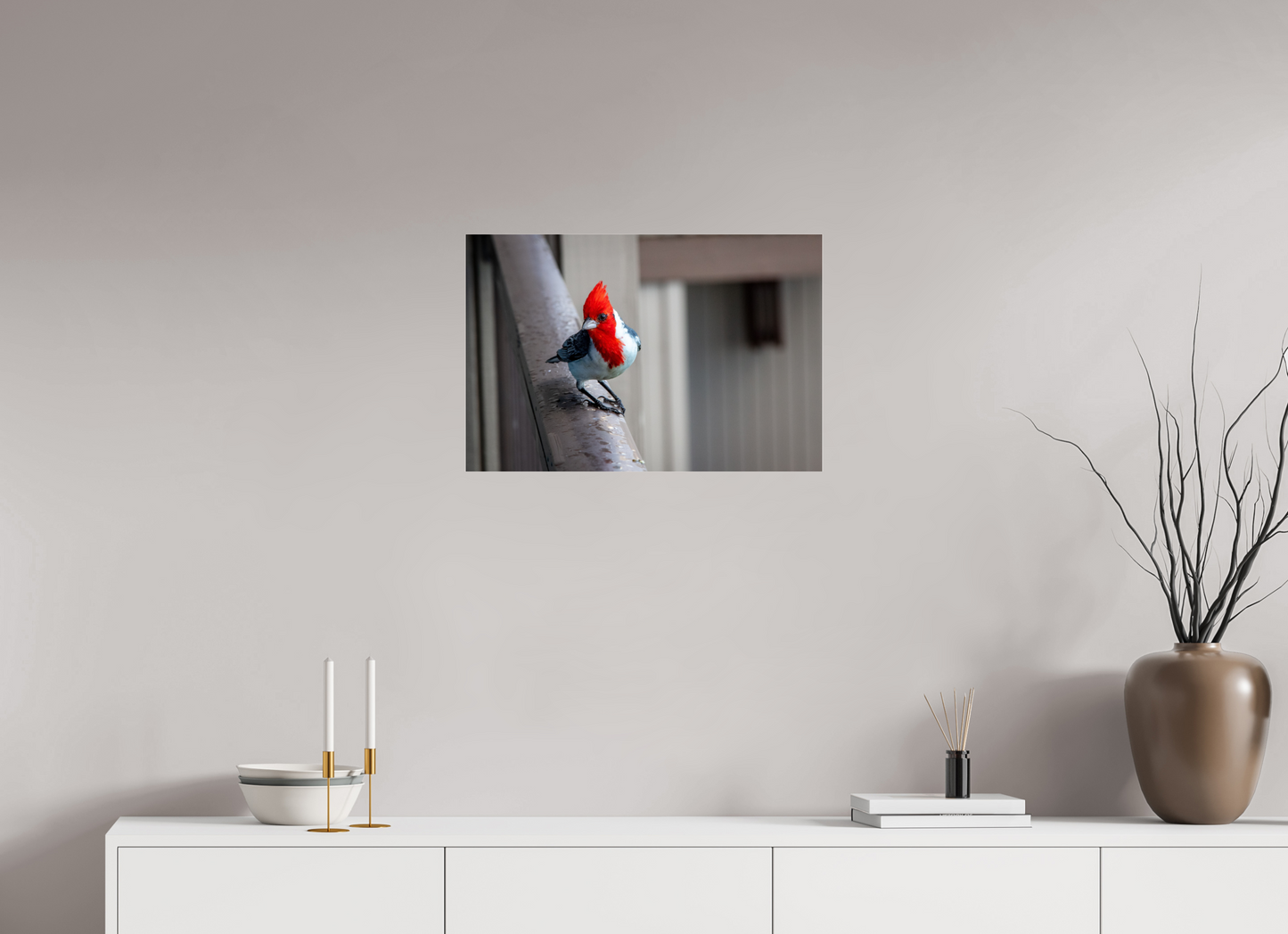 Red Crested Cardinal