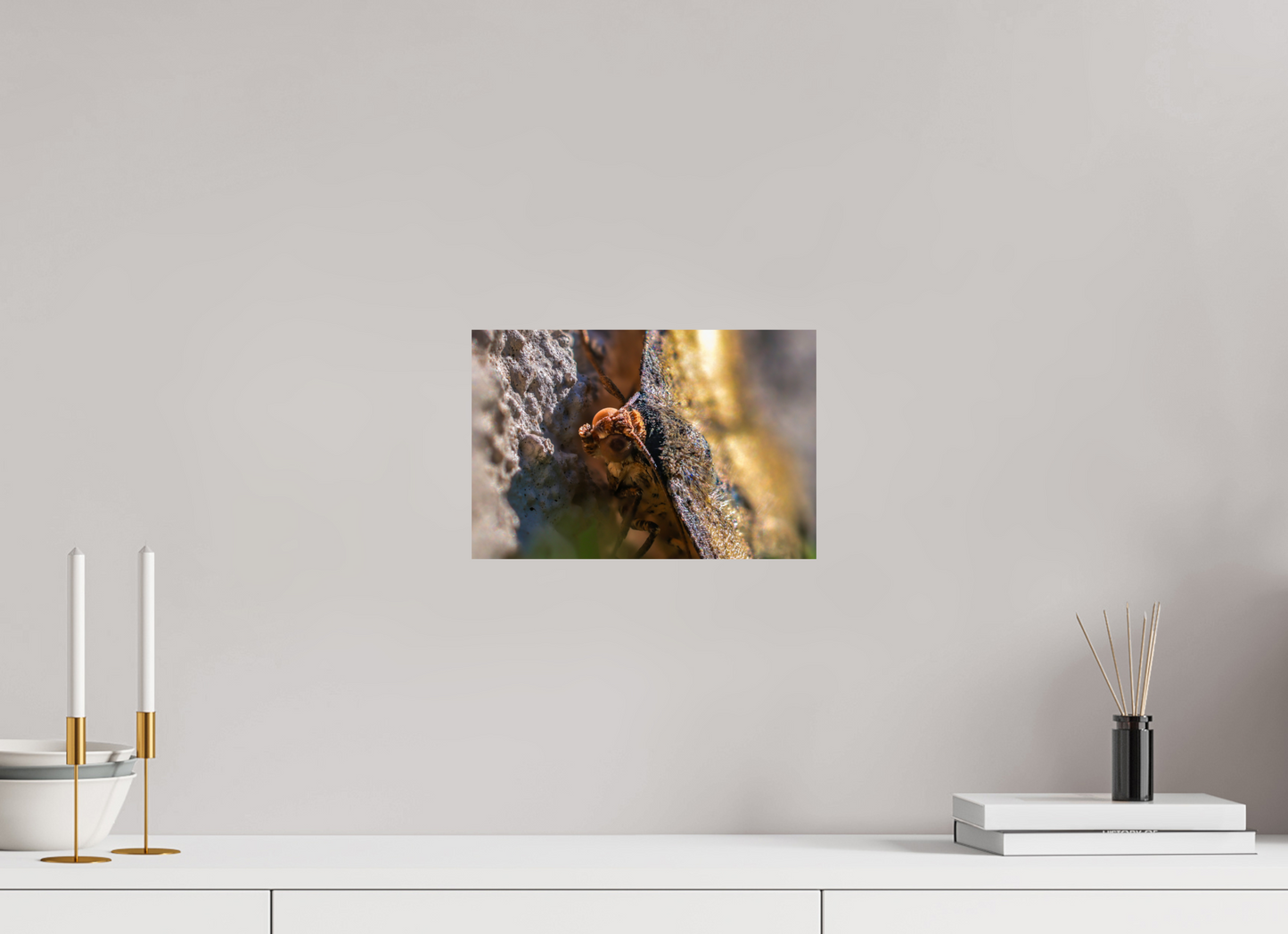 12 x 8″, Photo Print On Fuji Crystal DP II Moth In The Sun