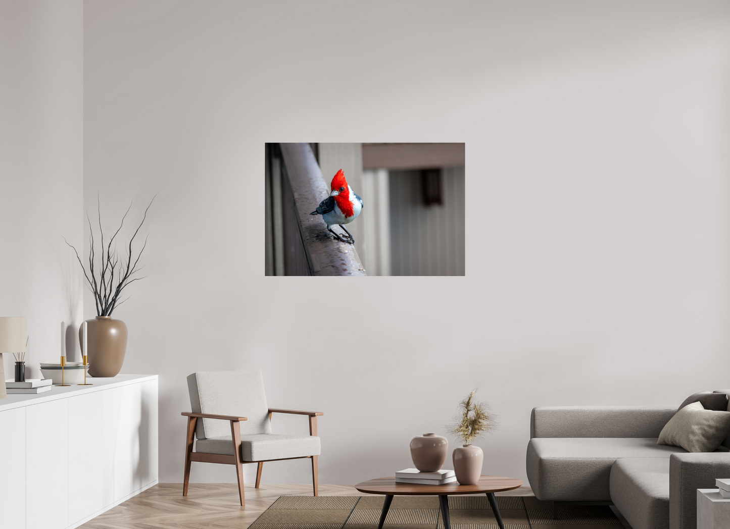 45 x 30″, Photo Print Under Acrylic Glass Red Crested Cardinal