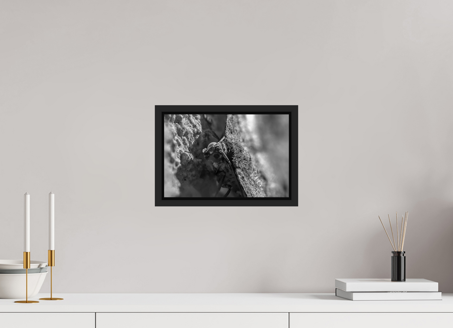 12 x 8″, B&W Paper Moth In The Sun