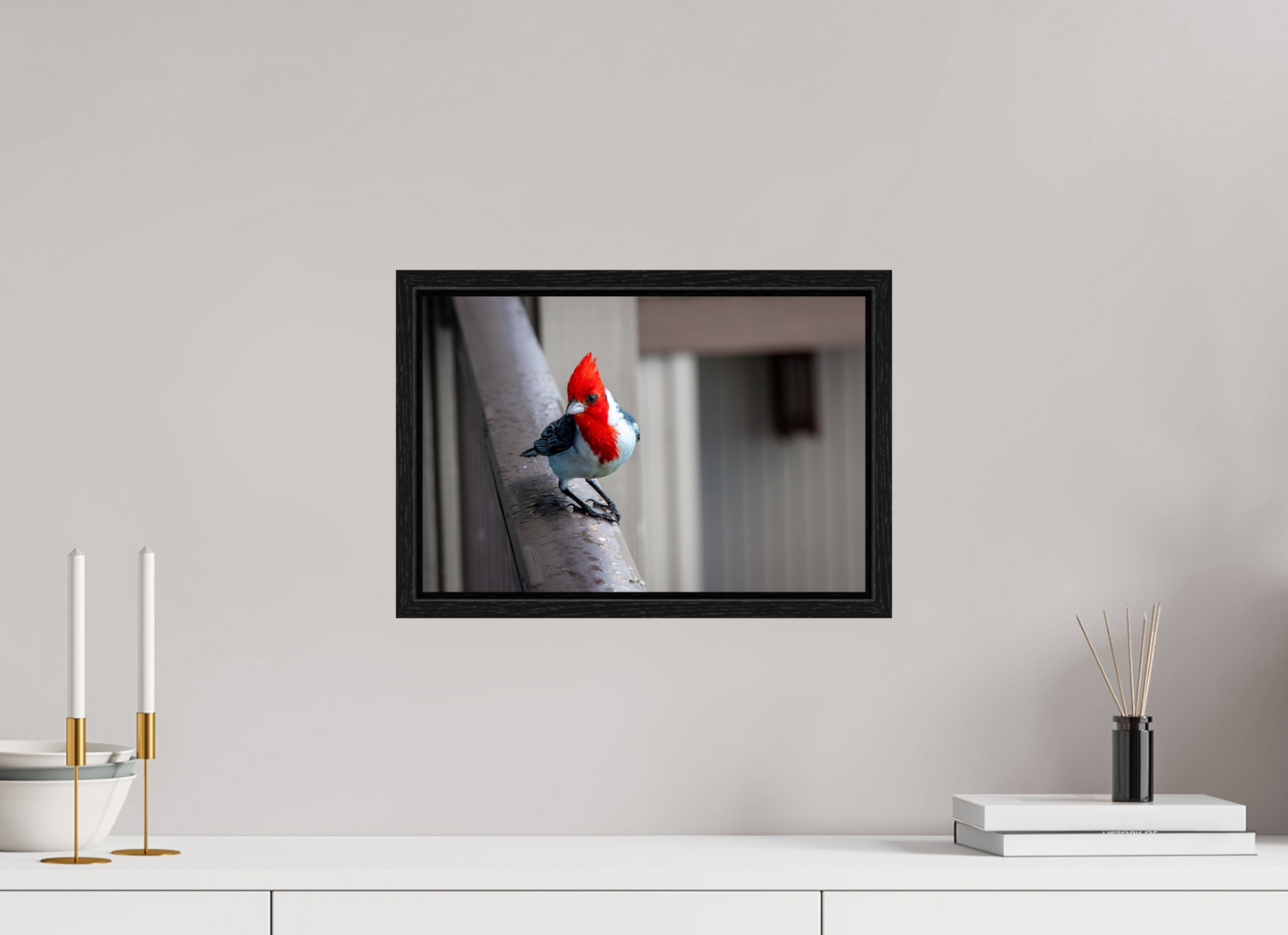 15 x 10″, Floater Frame Red Crested Cardinal