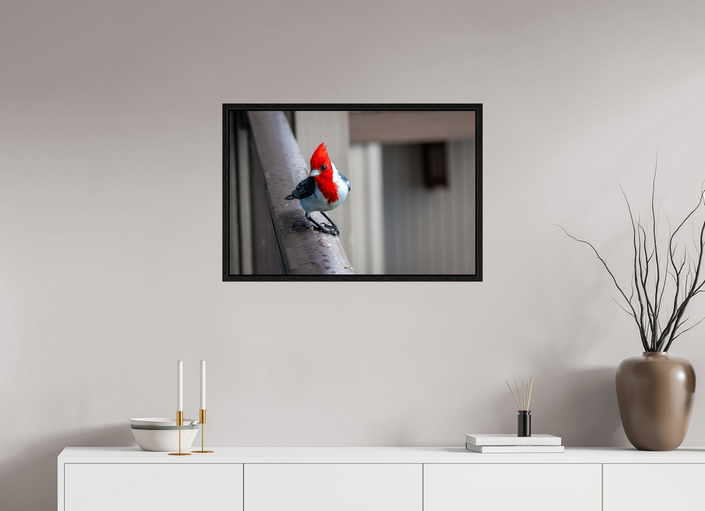 30 x 20″, Floater Frame Red Crested Cardinal