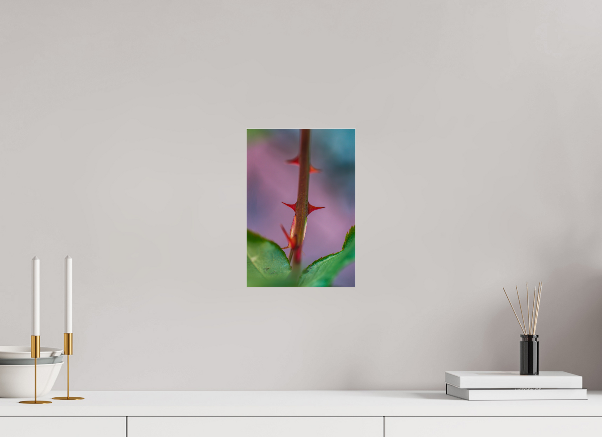 8 x 11.6″, Photo Print Under Acrylic Glass Thorny One