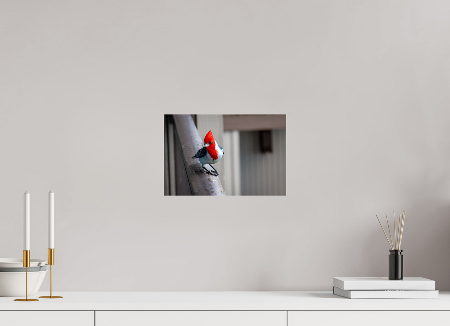 12 x 8″, Photo Print Under Acrylic Glass Red Crested Cardinal