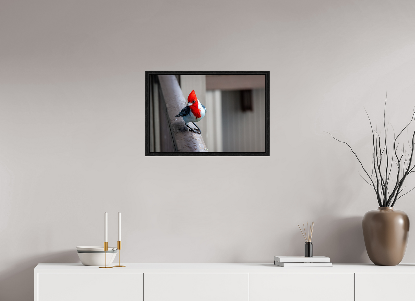 24 x 16″, Floater Frame Red Crested Cardinal
