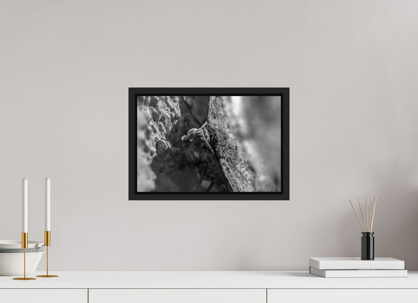 15 x 10″, B&W Paper Moth In The Sun