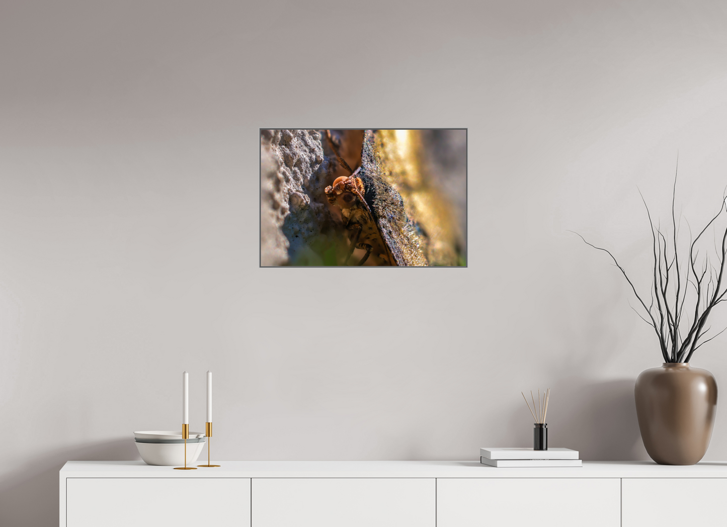 24 x 16″, Metal Print Acrylic Moth In The Sun